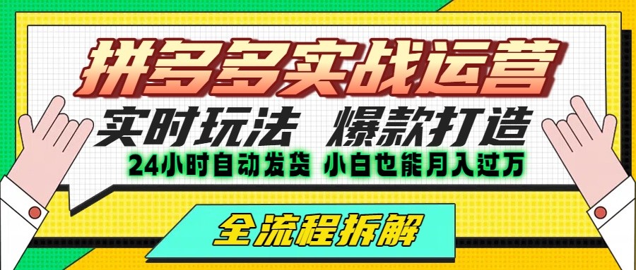 拼多多最新实战运营高投产：长久稳定项目，单店利润一天三位数-九天资源站