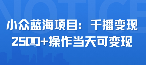 小众蓝海项目，千播变现2.5k+操作当天可变现-九天资源站