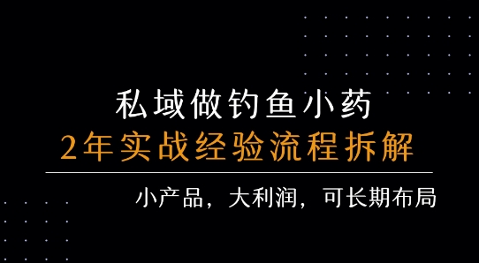 私域做钓鱼小药 每单利润3张+ 详细流程拆解-九天资源站