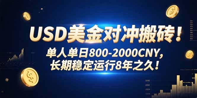 USD美金对冲搬砖!单人单日800-2000CNY，长期稳定运行8年之久!-九天资源站