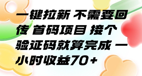 一键拉新 不需要回传 首码项目 接个验证码就算完成 一小时收益70+【揭秘】-九天资源站