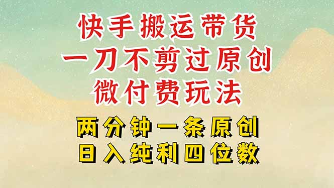 快手黑科技搬运带货，一刀不剪过原创，微付费投流玩法，轻松日入四位数…-九天资源站