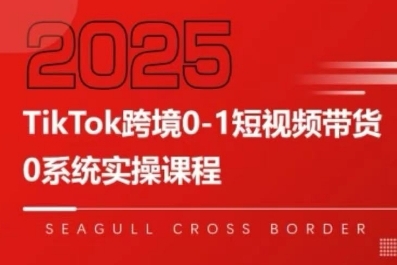 TikTok跨境0-1短视频带货，系统拆解TikTok跨境带货全链路，实现跨境可持续盈利-九天资源站