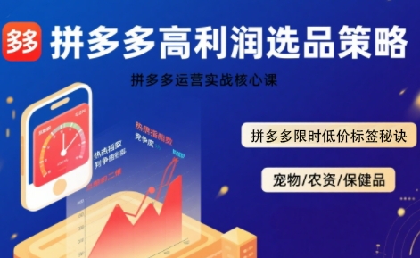 拼多多选品暴利技术实战课，拼多多高利润选品策略，拼多多限时低价标签秘诀-九天资源站
