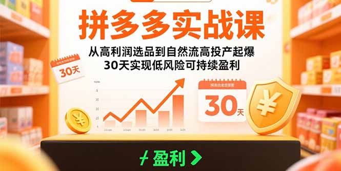 拼多多实战课：从高利润选品到自然流高投产起爆 30天实现低风险可持续盈利-九天资源站