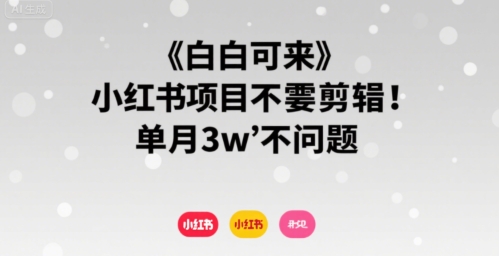 小白可来 小红书项目不需要剪辑 单月3w不是问题-九天资源站