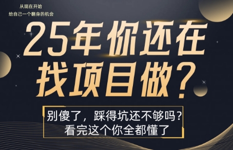 25年，你还在疯狂的找项目吗？别傻了，看完这个你都懂了【揭秘】-九天资源站