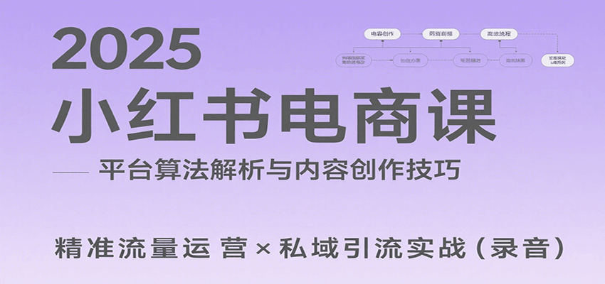 2025小红书电商课：解析算法，创作高转化内容，助力卖家获取流量实现变现(录音)-九天资源站