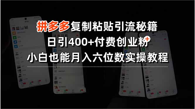 拼多多复制粘贴引流秘籍，日引400+付费创业粉，小白也能月入六位数实操…-九天资源站