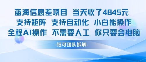 蓝海信息差项目当天收米1k+ 支持矩阵支持自动化小白能操作全程AI操作不需要人工你只要会电脑-九天资源站