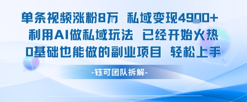 单条视频私域变现4.9k+利用AI做私域玩法 已经开始火热0基础也能做的副业项目轻松上手-九天资源站