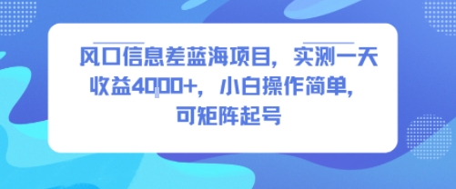 风口信息差蓝海项目，实测一天收益4k+，小白操作简单，可矩阵起号-九天资源站