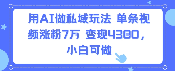 用AI做私域玩法，单条视频涨粉7W变现4.3k，小白可做-九天资源站