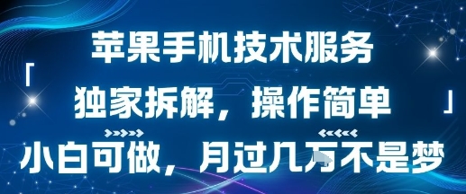 苹果手机技术服务，独家拆解，操作简单，小白可做，月过1W不是梦-九天资源站