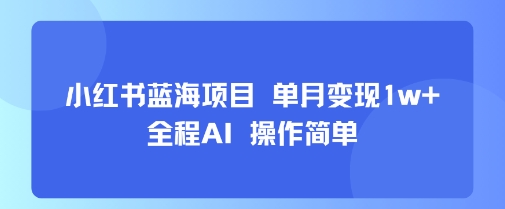 小红书蓝海项目 单月变现1w+ 全程AI 操作简单-九天资源站