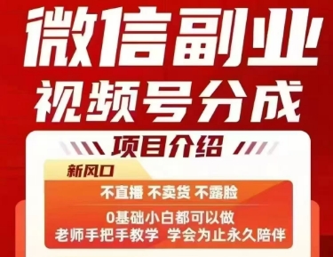 微信副业视频号分成，不直播 不卖货 不露脸，三五分钟即可完成一条作，每日收益几十、几张不等-九天资源站