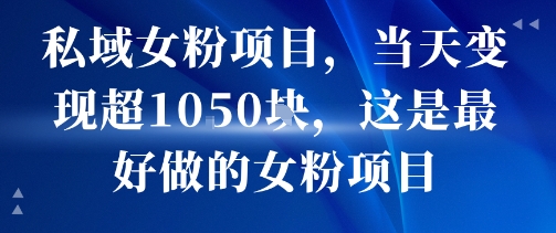 私域女粉项目，当天变现超1k，这是最好做的女粉项目，可放大操作-九天资源站