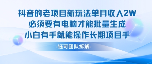 老项目新玩法单月收入2W小白有手就能操作长期项目-九天资源站
