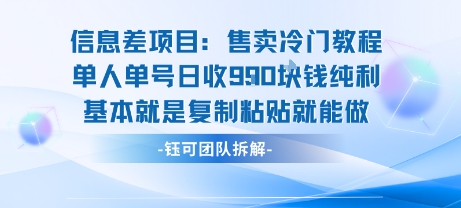 信息差项目：售卖冷门教程单人单号日收9张纯利基本就是复制粘贴就能做-九天资源站