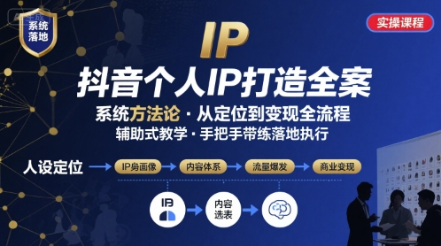 抖音个人IP系统落地实操大课，实操课程，辅助落地-九天资源站