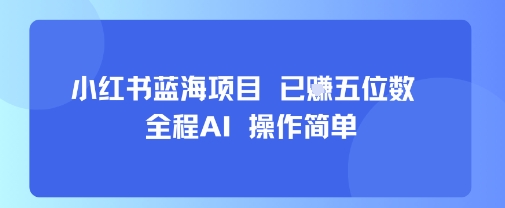 小红书蓝海项目，全程AI，操作简单，已挣五位数-九天资源站