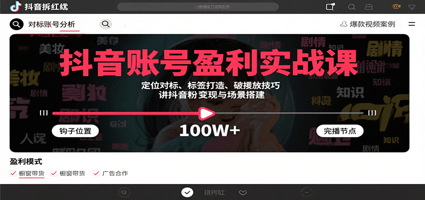 抖音账号盈利实战课，定位对标、标签打造、破播放技巧，讲涨粉变现与场景搭建-九天资源站