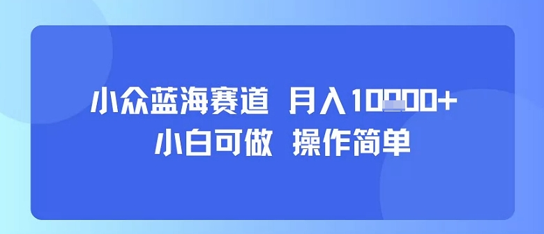 小众蓝海赛道，小白可做，操作简单，每天30分钟，月入1W+-九天资源站