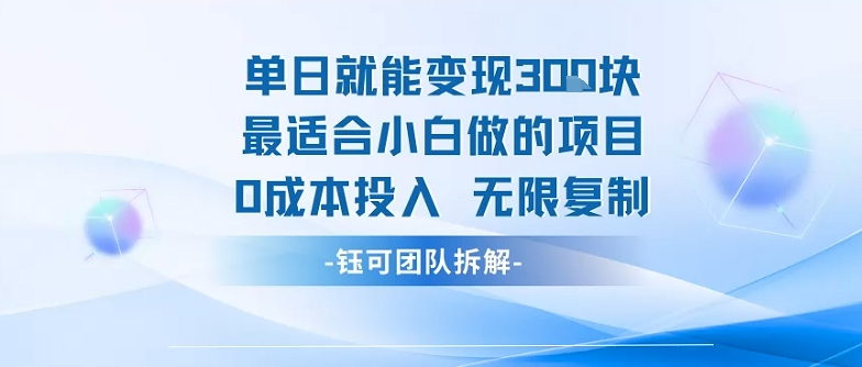 单日就能变现3张最适合小白做的项目0成本投入 无限复制-九天资源站