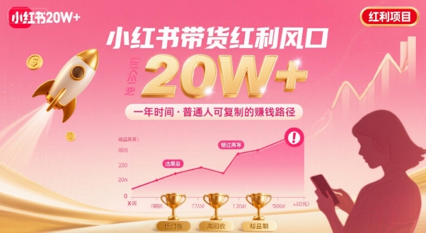 一年时间靠小红书带货项目年入20w+，最不能错的大红利项目-九天资源站