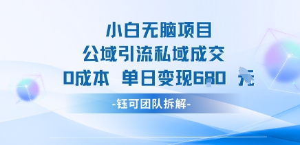 小白无脑项目公域引流私域成交0成本单日变现680米-九天资源站