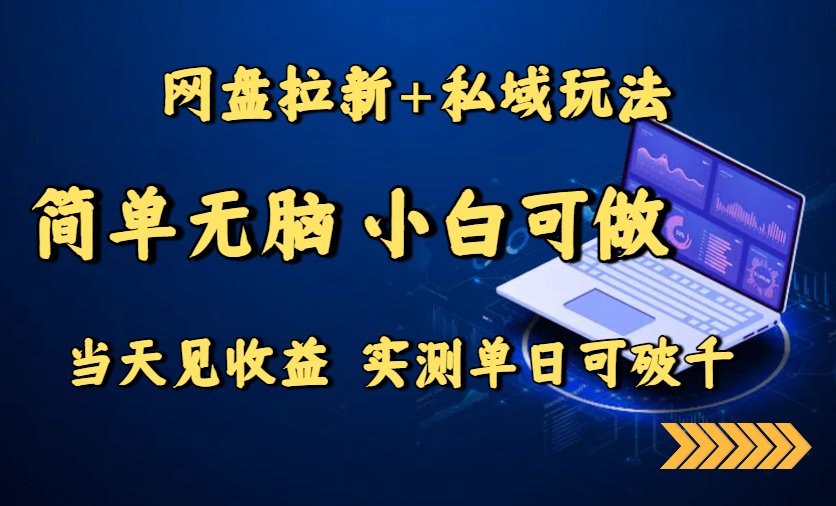 网盘拉新+私域玩法，简单无脑，小白可做，当天见收益，实测单日可破千-九天资源站