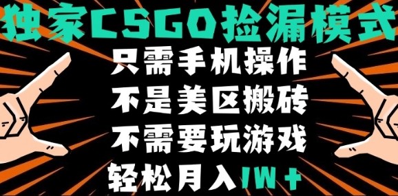 CSGO自动捡漏项目，最新独家玩法，不是美区搬砖，不需要了解和玩游戏，新手小白轻松月入1W+【揭秘】-九天资源站