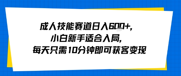 成人技能赛道日入多张，小白新手适合入局，每天只需10分钟即可获客变现-九天资源站
