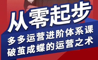 拼多多运营进阶系统课，从零起步，多多运营进阶体系课，破茧成蝶的运营之术-九天资源站