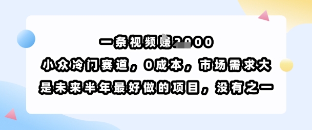 一条视频挣1k，小众冷门赛道，0成本，市场需求大，是未来半年最好做的项目，没有之一-九天资源站