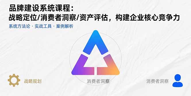 品牌建设系统课程：战略定位/消费者洞察/资产评估，构建企业核心竞争力-九天资源站