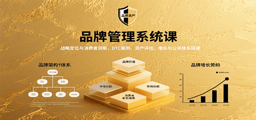 品牌管理系统课：战略定位与消费者洞察，DTC案例、资产评估，增长与公关体系搭建-九天资源站