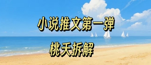 小说推文项目操作全流程第一弹，0粉就能做，门槛低非常适合新手-九天资源站