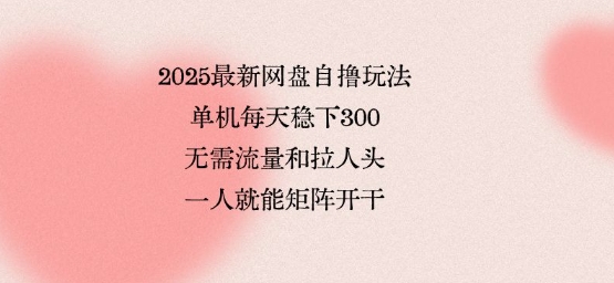 2025最新网盘自撸玩法，单机每天稳下3张，无需流量和拉人头，一个人就可轻松矩阵，全网独一份【揭秘】-九天资源站