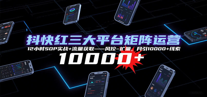 抖快红三大平台矩阵运营，12小时SOP实战+流量获取-风控-扩量，月引10000+线索-九天资源站