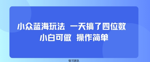 小众蓝海玩法 一天搞了四位数 小白可做 操作简单-九天资源站