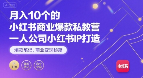 月入10个的小红书商业爆款私教营，一人公司小红书IP打造，爆款笔记，商业变现秘籍-九天资源站