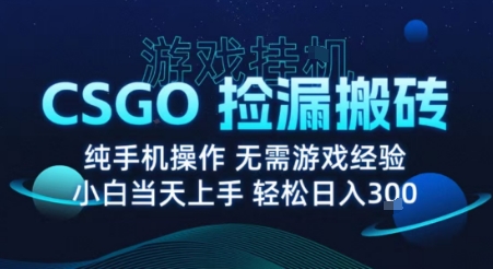 8月最新游戏搬砖，CSGO纯挂G，不需要玩游戏，实现真挂G，月入1W+【揭秘】-九天资源站