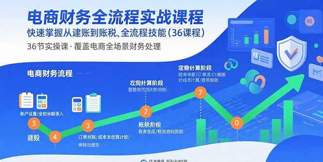 电商财务全流程实战课程：快速掌握从建账到报税的全流程技能(36节课-九天资源站