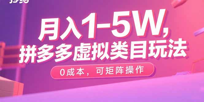 月入1-5W，拼多多虚拟类目玩法，0成本，可矩阵操作-九天资源站