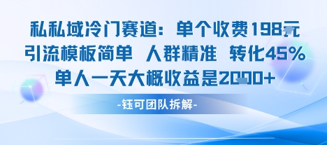 私域冷门赛道单个收费198米引流模板简单人群精准 45%的转化率单人一天大概收益多张-九天资源站