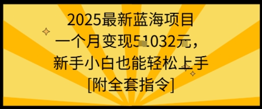 2025最新蓝海项目一个月变现1w+新手小白也能轻松上手【附全套指令】-九天资源站