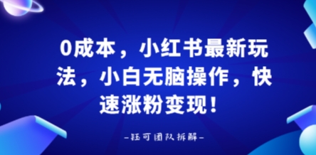 0成本，小红书最新玩法，小白无脑操作，快速涨粉变现-九天资源站
