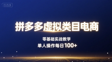 拼多多虚拟类目电商，零基础实战教学，单人操作每日100+-九天资源站