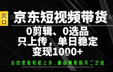 你出账号，我来运营，保底日入1k+，开启躺賺模式【揭秘】-九天资源站